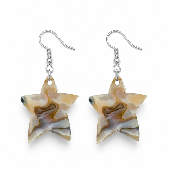 file_000000008370720998b676f3ca49f2b1 Abalone Earrings | Noor Trio Collection