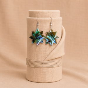Noor Astra Paua Shell Star Earrings