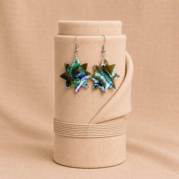 file_000000002b2871f8809d033bf0888701 Elegant Noor Astra Paua Shell Star Earrings