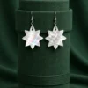 file_00000000de18720ba43723cf8a58a211 Noor Astra Mother of Pearl Earrings with Eight Point Star Design